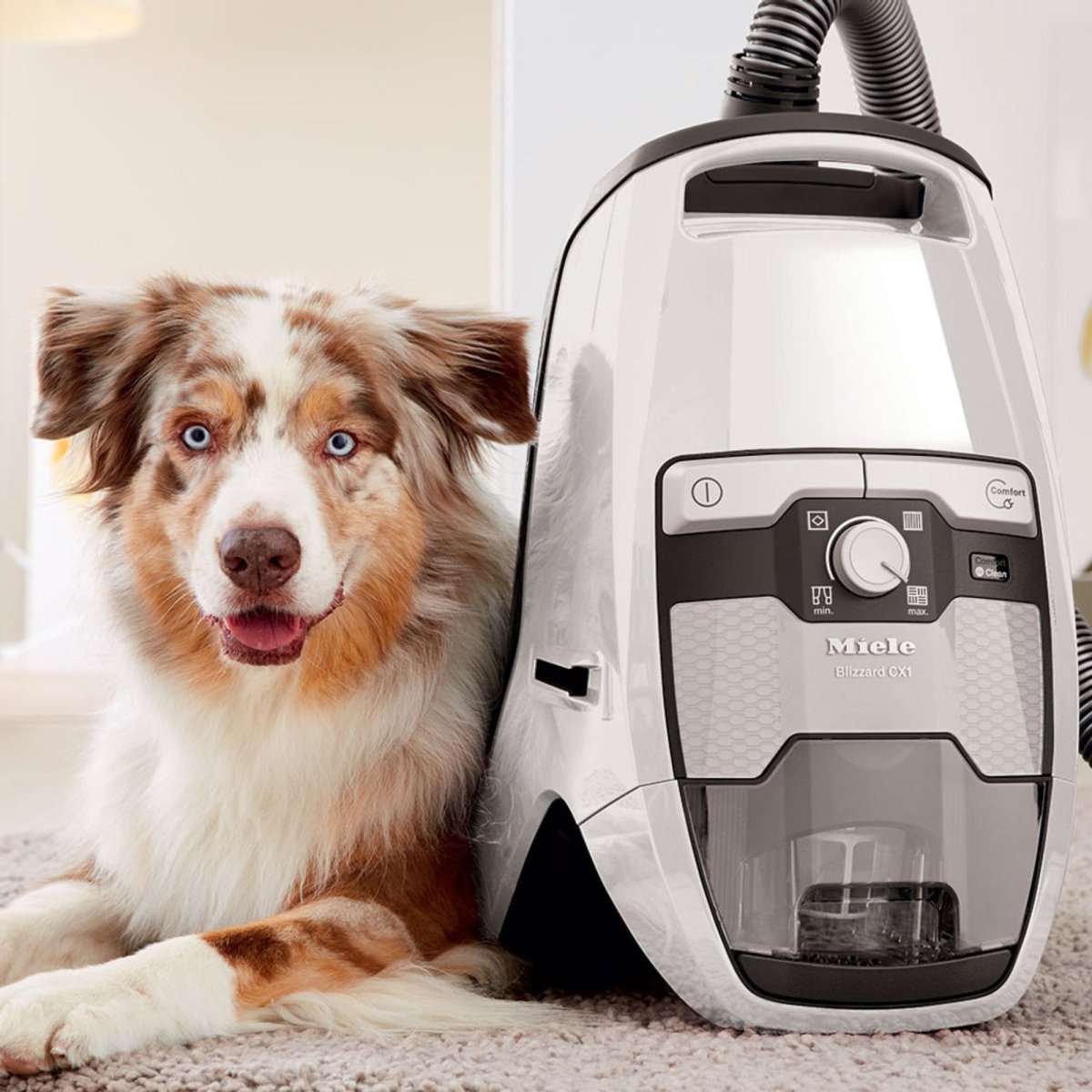 Miele Blizzard CX1 Cat & Dog Bagless Vacuum Cleaner - US Vacuums - 10829410