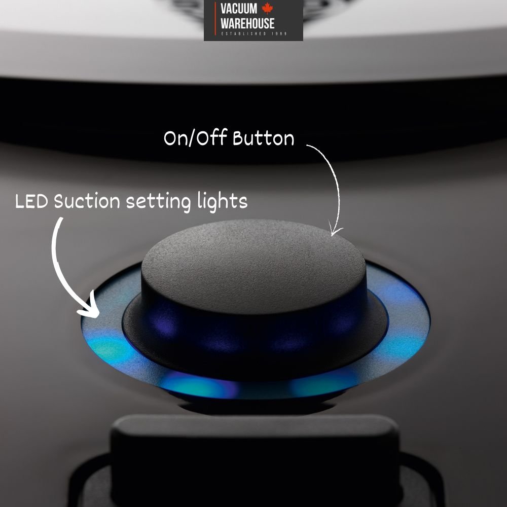 Sebo Airbelt D1 Canister Vacuum - US Vacuums - 90604