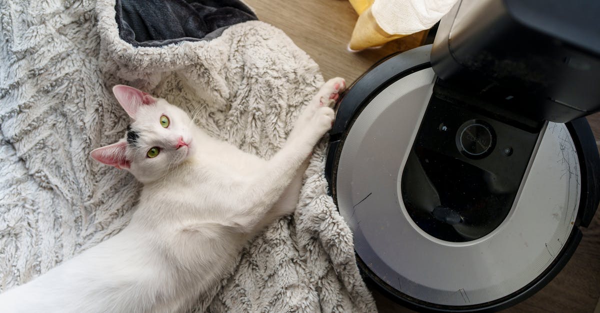 Best Vacuum for Hardwood Floors and Area Rugs in 2026 for Homes With Pets and Kids - US Vacuums