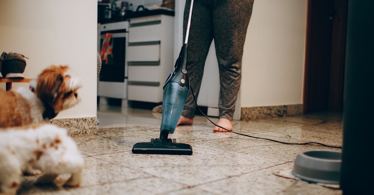 Best Vacuum for Pet Hair on Stairs, Upholstery, and Car Seats in 2026 - US Vacuums