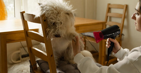 Cordless Stick Vacuums vs. Corded Canisters in 2025: Which Cleans Better for Pets and Kids? - US Vacuums