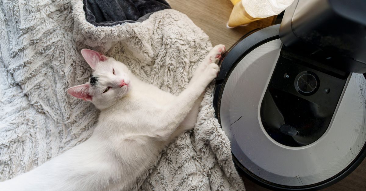 Miele Guard L1 Cat & Dog vs Electro: Which Model Matches Your Floors? - US Vacuums