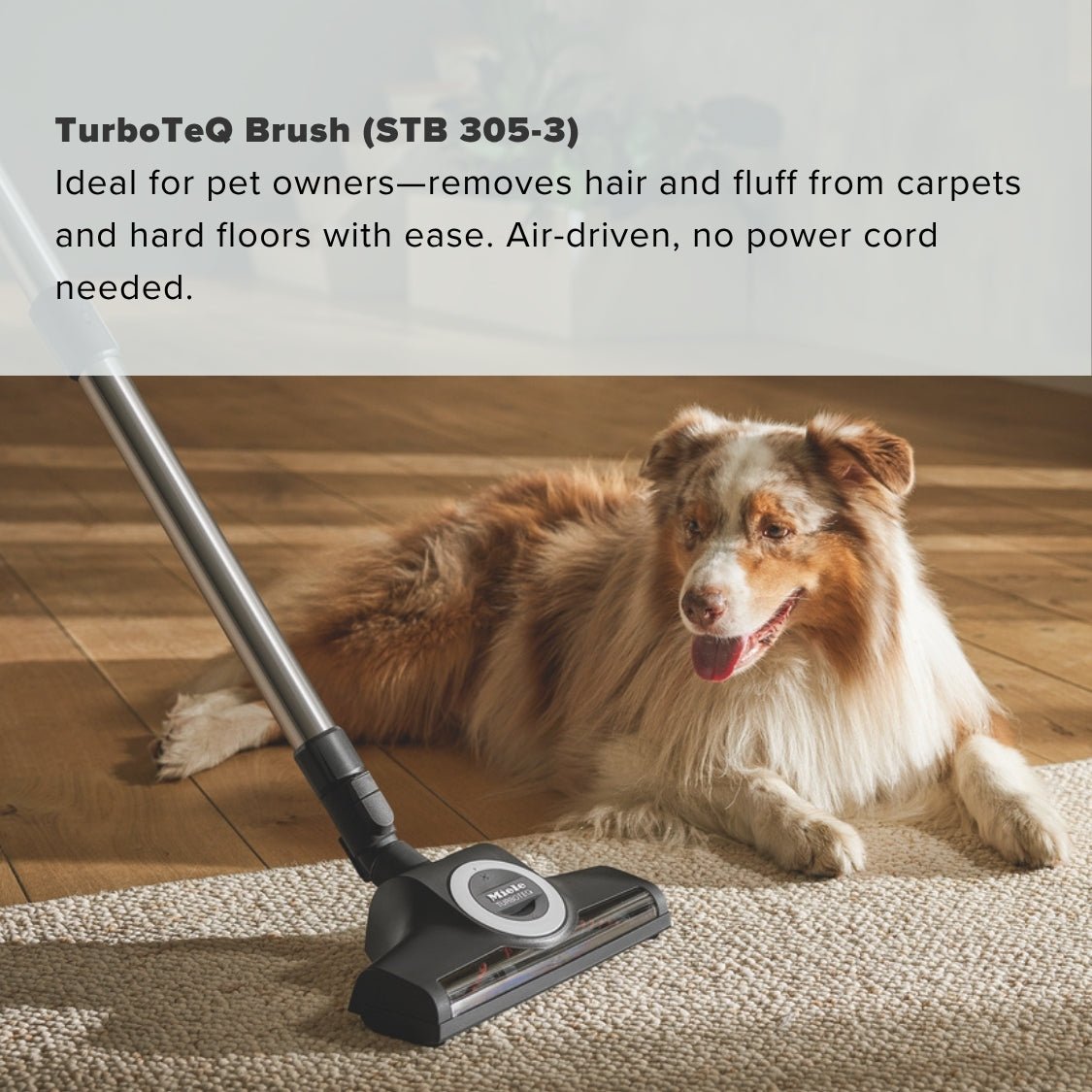 Miele Guard L1 Cat and Dog Vacuum Cleaner - Obsidian Black - US Vacuums - 12704570